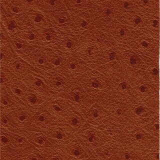 2532 - tan