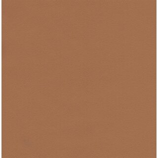 3620 - fawn