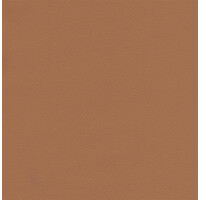 3620 - fawn