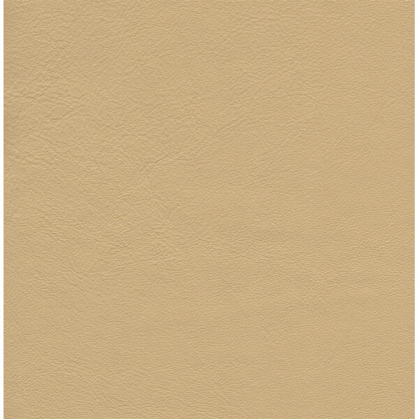 3966 - Ivory