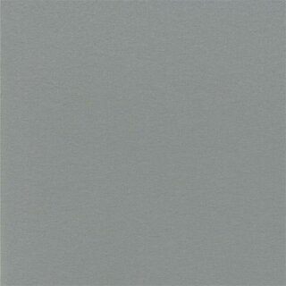 6020 - Velour hellgrau