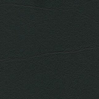 4013 - schwarz