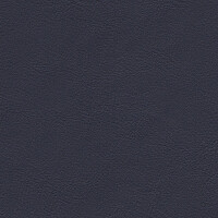 1155 - blau