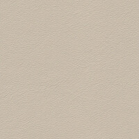 1180 - kiesel