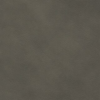 1258 - greystone