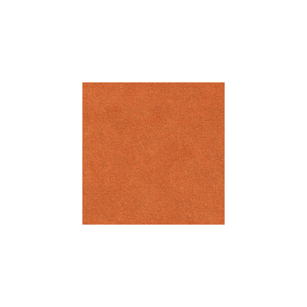 4096 Apricot