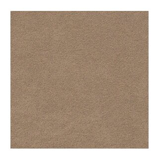 3051 Camel