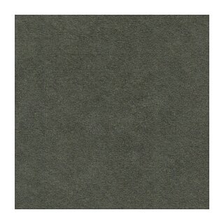 5810 Stone Grey