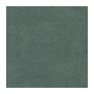 3460 Mars Grey