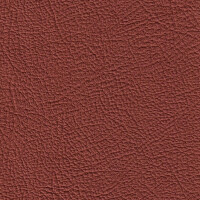4453H - rot