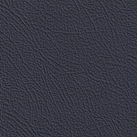 1118 - galaxyblau