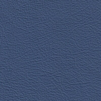 1124 - merlinblau