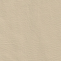 1143 - siambeige