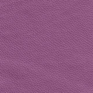 4100 - violett