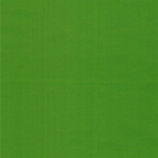9828 apple