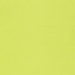 9518 kiwi