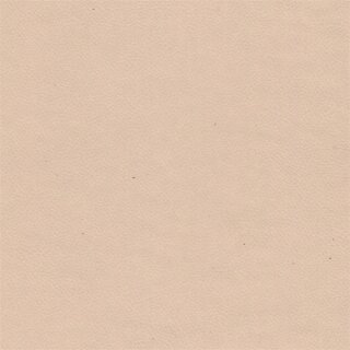 979077 sahara