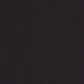 6110 - purpre