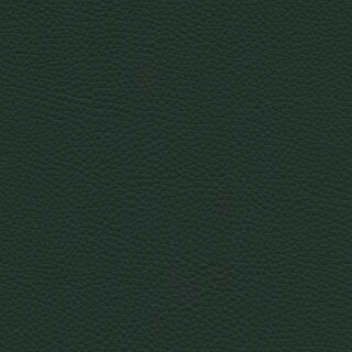 7242 - forest