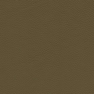 7612 - kiwi