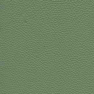 7830 - mint