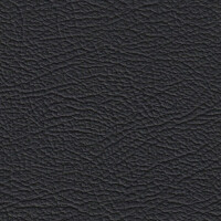 0501H - roast black