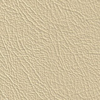 3659H - champagner