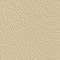 3659H - champagner