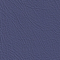 5458H - ocean