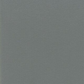 6253 - hellgrau
