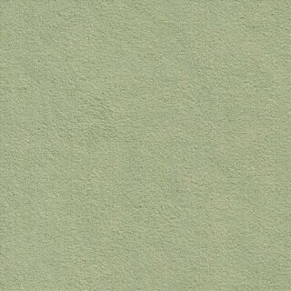 9048 fern green