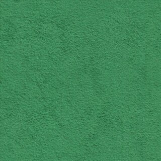 9565 grass