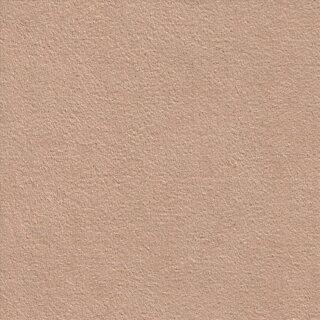 9079 callot rose