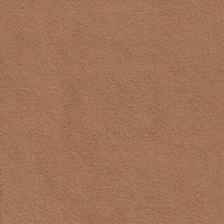 9070 ginger