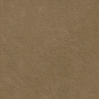 9121 camel