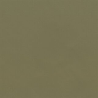 3160 - camel