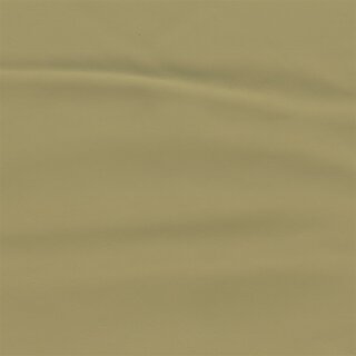 3477 - champignon