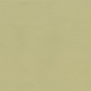 3898 - saharabeige