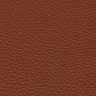 2584 - inca