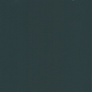 7449 - petrol