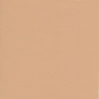 3469 - sahara