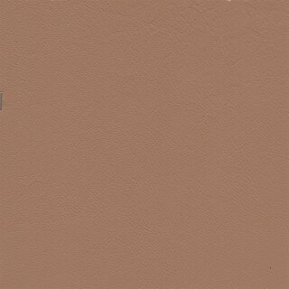 2699 - kaschmir