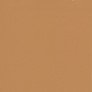 8424 - mango