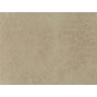 nature 14