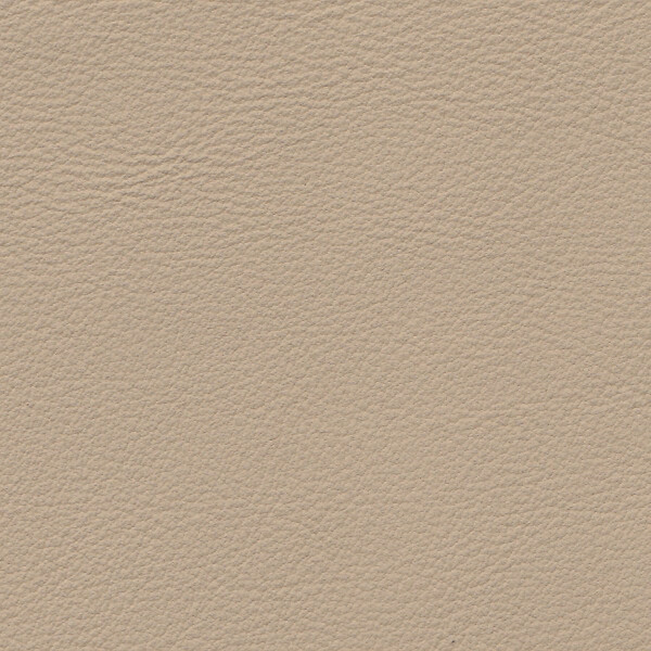 1602 - samtbeige