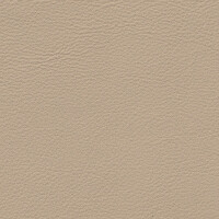 1602 - samtbeige