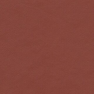 1653 - mokassin