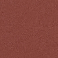 1653 - mokassin