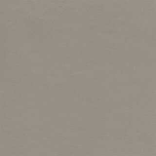 3280 - kardamombeige