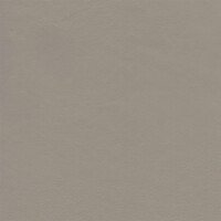 3280 - kardamombeige